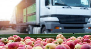 Przeładowana ciężarówka z jabłkami przemysłowymi jechała do przetwórni