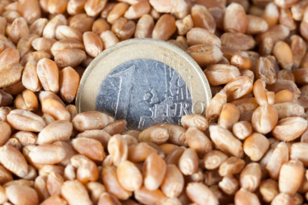 Dopłaty Do Materiału Siewnego 2019 Stawki Stawki dopłat do ekologicznego materiału siewnego będą wyższe!