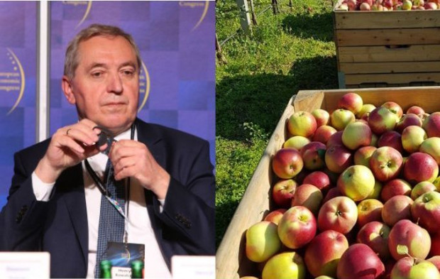 Klęska urodzaju jabłek 2022. Minister rolnictwa: To realny problem