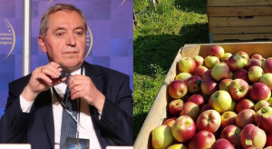 Klęska urodzaju jabłek 2022. Minister rolnictwa: To realny problem