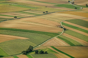 Świętokrzyskie: Ponad 13 mln zł na scalanie gruntów