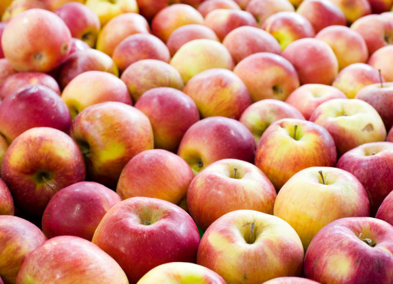 Mołdawia ma wsparcie w eksporcie jabłek do Egiptu i Indii