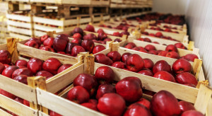 Włosi znaleźli sposób na tanie przechowywanie jabłek