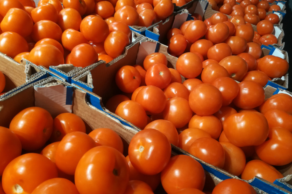 Oszustwo przy zakupie pomidorów na 300 tys. zł. Zapadł wyrok