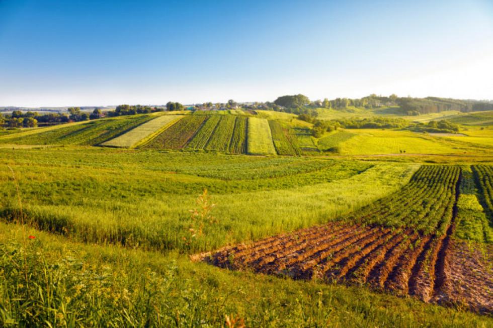 Ceny ziemi rolnej rekordowo drogie. Ile kosztuje 1 ha w 2022 r?