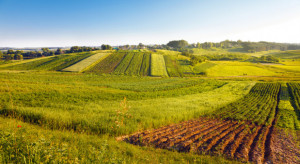 Ceny ziemi rolnej rekordowo drogie. Ile kosztuje 1 ha w 2022 r?