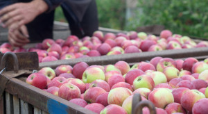 Jabłka 2022: Konieczna interwencja na rynku. Będzie wsparcie?