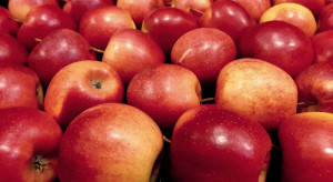 Mołdawia dostarczy próbną partię jabłek do Indii