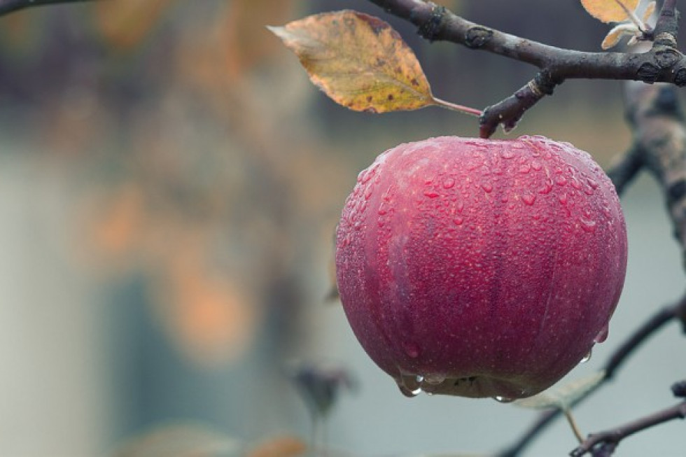 Pogoda na sobotę 22.10: Będzie pochmurno i ze słabym deszczem/ fot.shutterstock.com Pogoda na sobotę 22.10: Będzie pochmurno i ze słabym deszczem