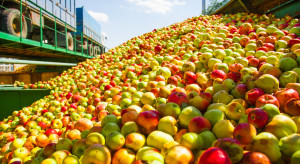 Jabłka przemysłowe: kilka czynników przemawia za wzrostem cen