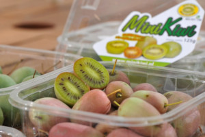 Minkiwi: Słodki owoc z Antypodów coraz popularniejszy w Polsce