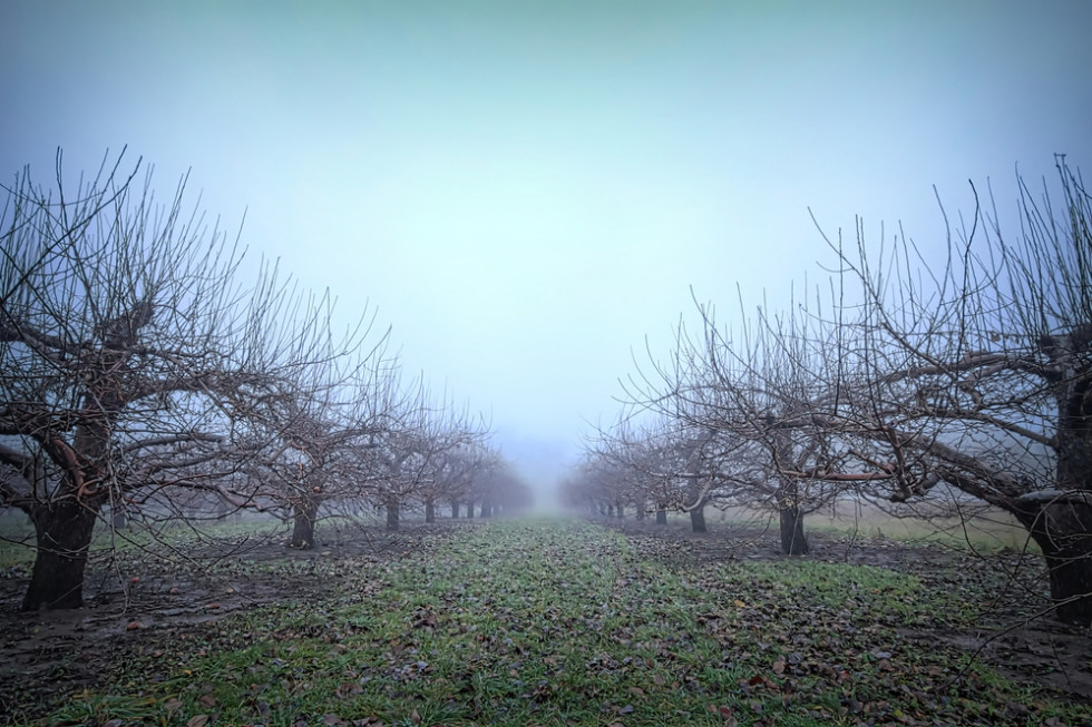 Przyjdzie do nas front atmosferyczny i zachmurzenie w kraju będzie duże./ ft. shutterstock W nocy z piątku na sobotę pogoda znacznie się popsuje