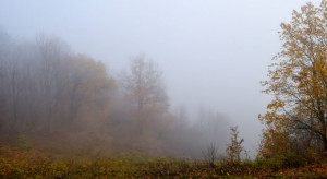 Pogoda na 14 listopada: Poniedziałek ciepły i mglisty