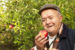 Dieta owocowo-warzywna dla seniora. 5 wskazówek