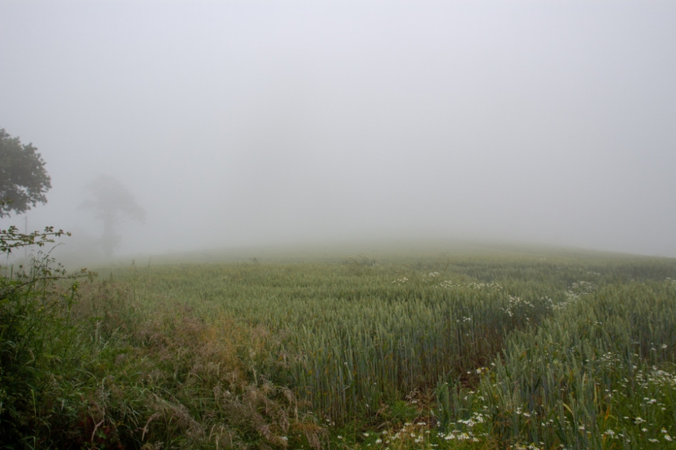 Synoptyk IMGW: We wtorek marznące opady i mgły