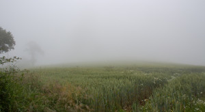 Synoptyk IMGW: We wtorek marznące opady i mgły