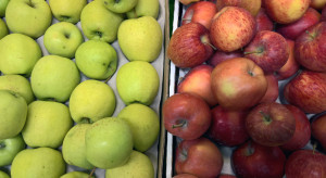 Czechy: Polskie jabłka zalewają rynek i psują handel