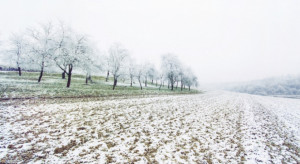 W czwartek opady niemal w całym kraju, na wschodzie głównie śniegu