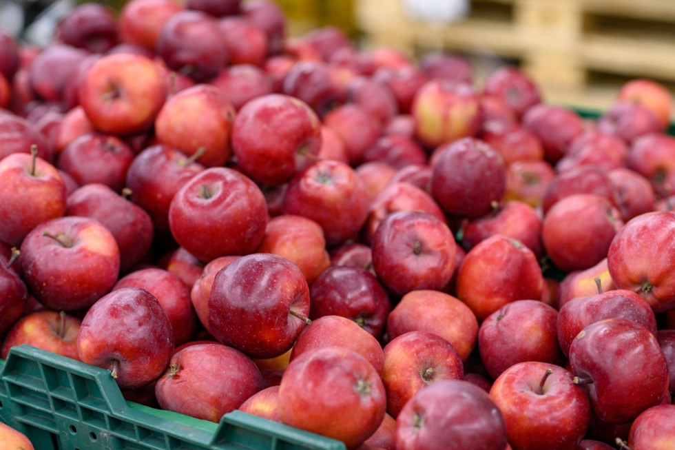Ceny jabłek mogą być wysokie pomimo słabego eksportu