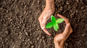 Studenci i naukowcy z Wrocławia stworzyli biopolepszacz glebowy