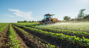 Włoscy rolnicy gotowi zwiększyć uprawy o milion hektarów
