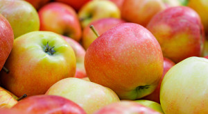 W Austrii będą mieć więcej jabłek niż w ubiegłym roku