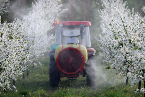 Ograniczenie stosowania środków ochrony roślin jest niebezpieczna dla rolnictwa