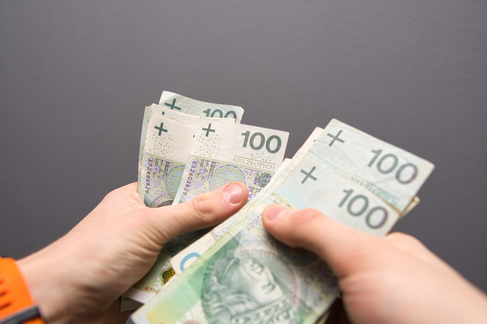 Pieniądze z dopłat bezpośrednich. Rolnicy otrzymali już prawie 13 mld zł/ fot.shutterstock.com Pieniądze z dopłat bezpośrednich. Rolnicy otrzymali już prawie 13 mld zł