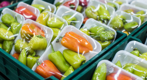 Polacy chcą zakazu pakowania owoców i warzyw w plastik