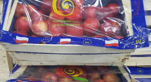 Polska traci kolejny rynek zbytu dla jabłek. Co dalej z eksportem?