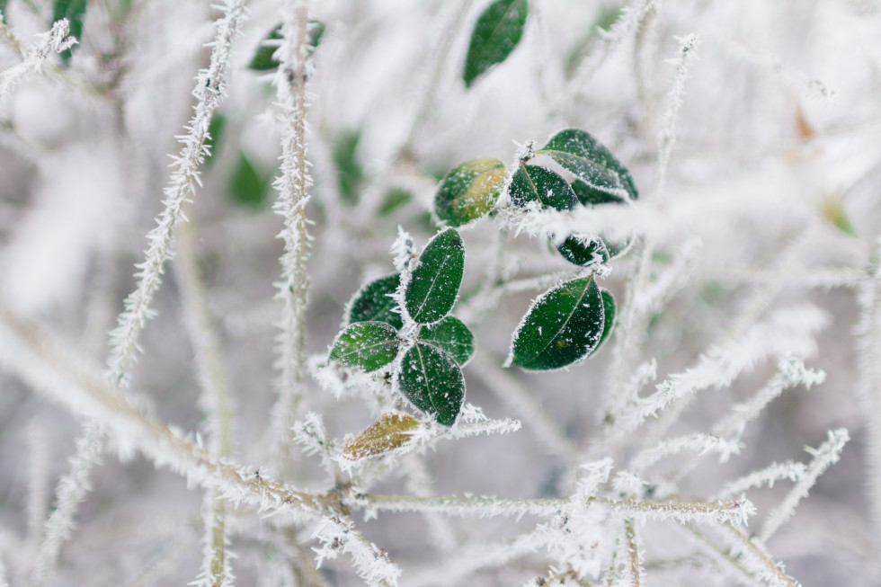 We wtorek od zachodu zacznie się rozpogadzać. / fot. unsplash Nadciąga silny mróz. Nawet -18 st. C