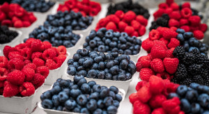 Dieta cukrzycowa. Jakie owoce jagodowe w diecie dla cukrzyka?