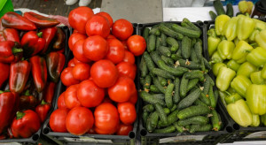 Warzywa coraz droższe. To przez koszty produkcji szklarniowej