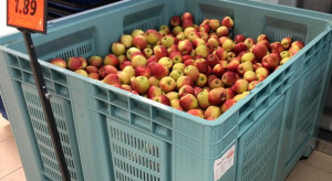 IJHARS sprawdził jabłka ze skrzyniopalet w marketach. Ocena jakości zaskakuje