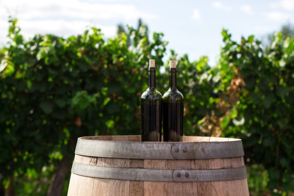 Deklaracje o produkcji wina- wnioski tylko do 15 stycznia 2023