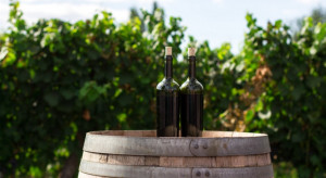 Deklaracje o produkcji wina- wnioski tylko do 15 stycznia 2023