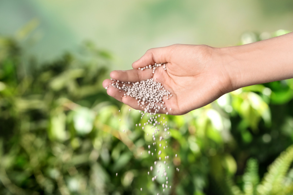 Produkcja nawozów przy obecnych, wyjątkowo dynamicznych warunkach rynkowych obarczona jest dużym ryzykiem biznesowym/ fot. shutterstock Ceny nawozów zmieniają się w mgnieniu oka. Będą kolejne podwyżki?