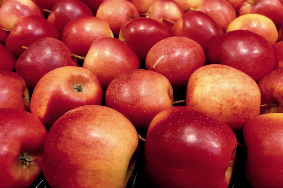 Złe perspektywy eksportu polskich jabłek do Egiptu