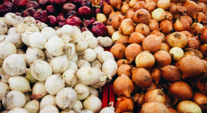 Najwyższy od lat eksport i skok cen cebuli