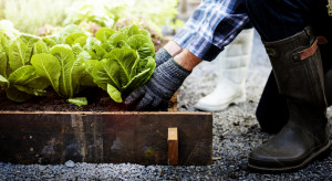 Praca w ogrodzie przynosi same korzyści. Jak wpływa na nasz organizm?