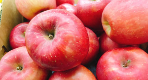 Ceny polskich jabłek wzrosły ale nie są najlepsze