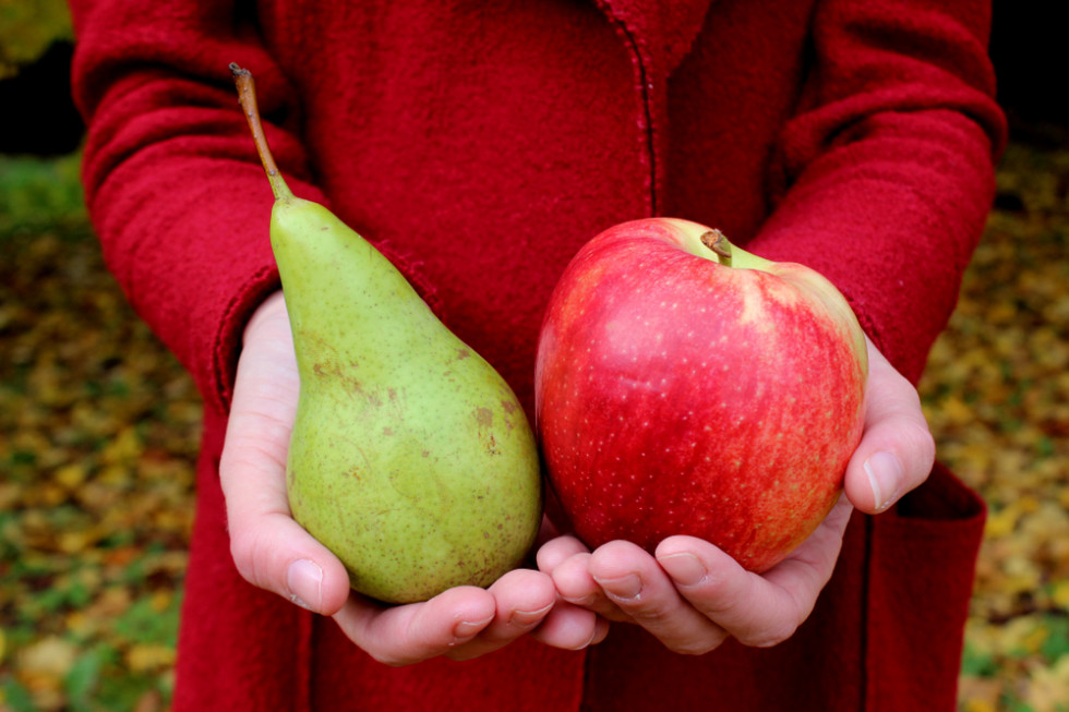Jabłko czy gruszka? Co jest zdrowsze, ma mniej cukru i mniej kalorii?