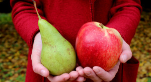 Jabłko czy gruszka? Co jest zdrowsze, ma mniej cukru i mniej kalorii?