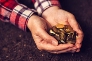 25 mld euro na rolnictwo. Wsparcie m.in. dla sektora owoców i warzyw