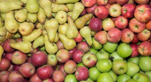 Sprzedaż jabłek i gruszek znacznie przyspieszyła w styczniu