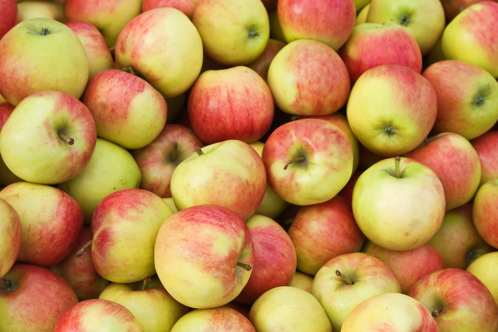 Komplikuje się sytuacja producentów jabłek na Ukrainie