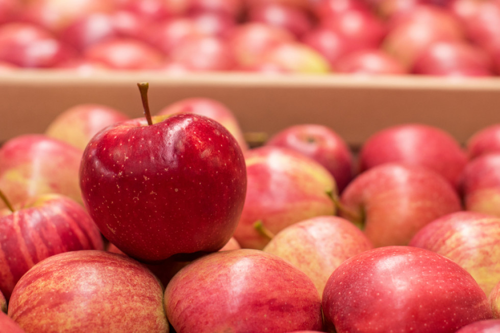 Perspektywy dla jabłek deserowych - czy wiosna zapłaci?