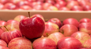Perspektywy dla jabłek deserowych - czy wiosna zapłaci?