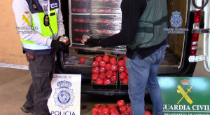 Narkotyki za 50 mln euro ukryte w pomidorach