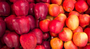 Aktualne ceny jabłek deserowych. Ile płacą sortownie?